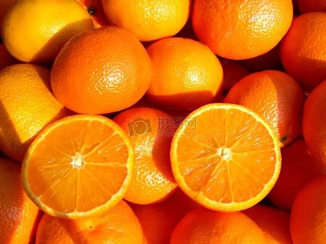 u=2312856565,91991876&fm=253&fmt=auto&app=138&f=JPEG.webp.jpg
