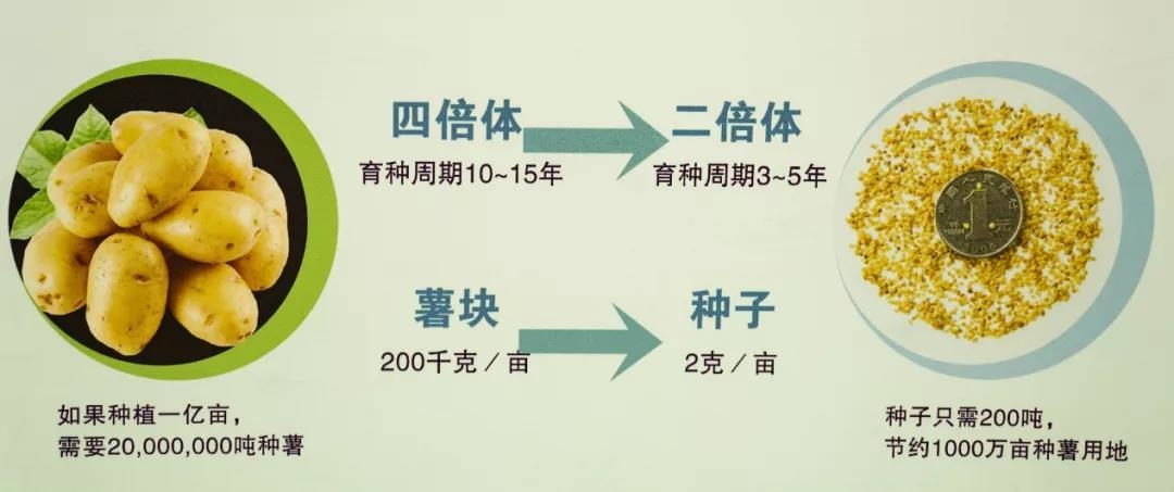 20220126c6404f79bdcecbee09c4178fe895d23c_origin.jpg