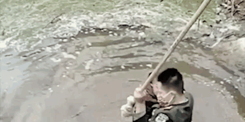 微信图片_20220325150515.gif