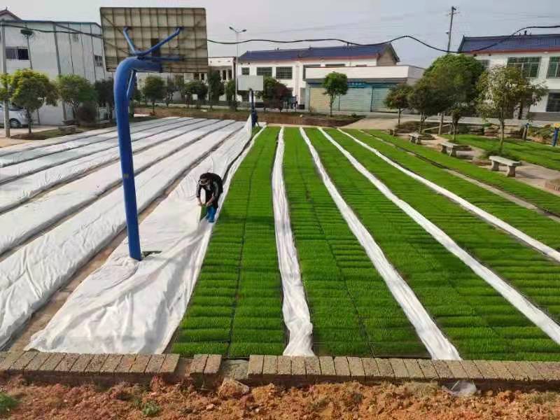 微信图片_20220408075951.jpg