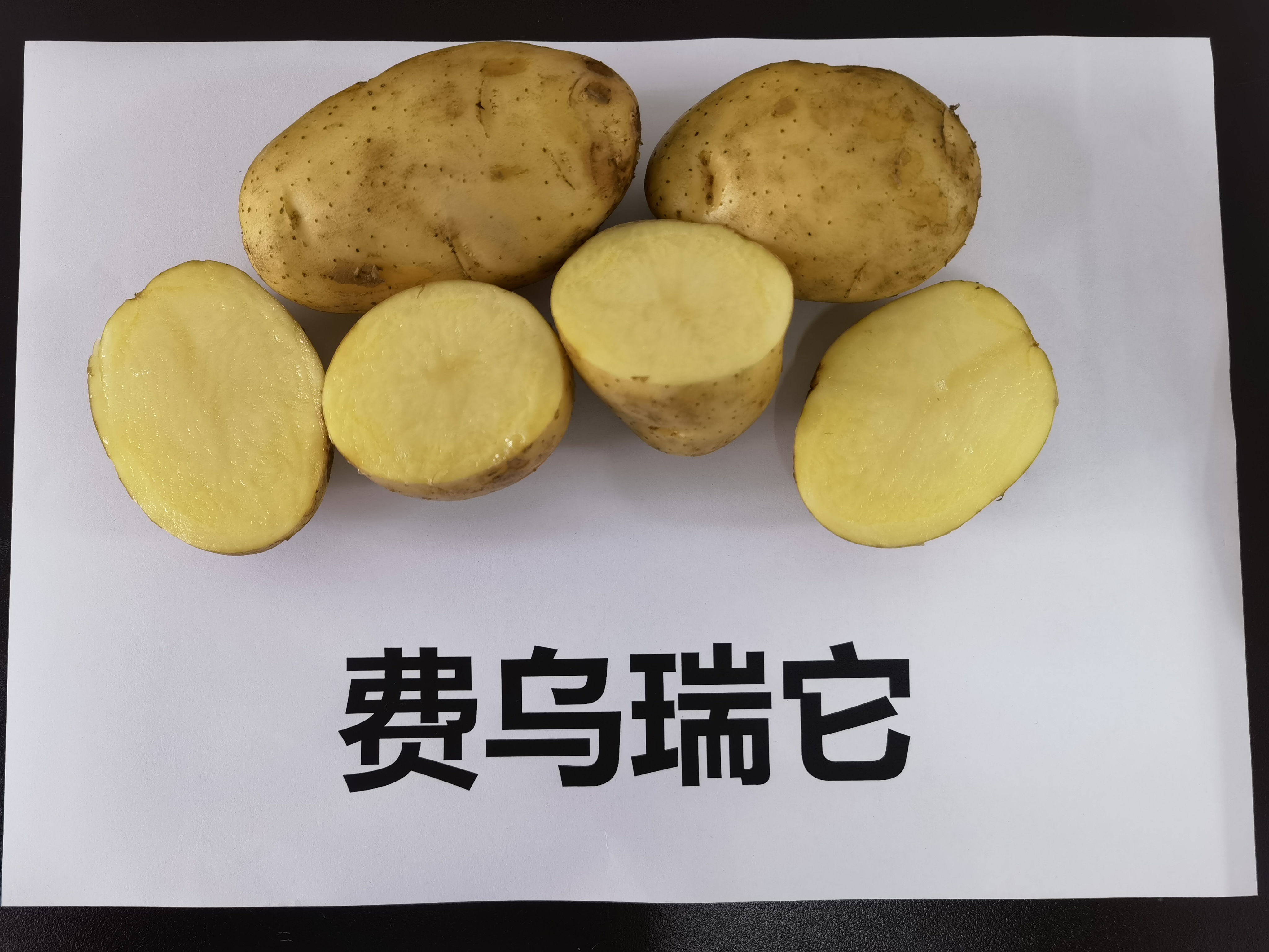 微信图片_20220408081020.jpg