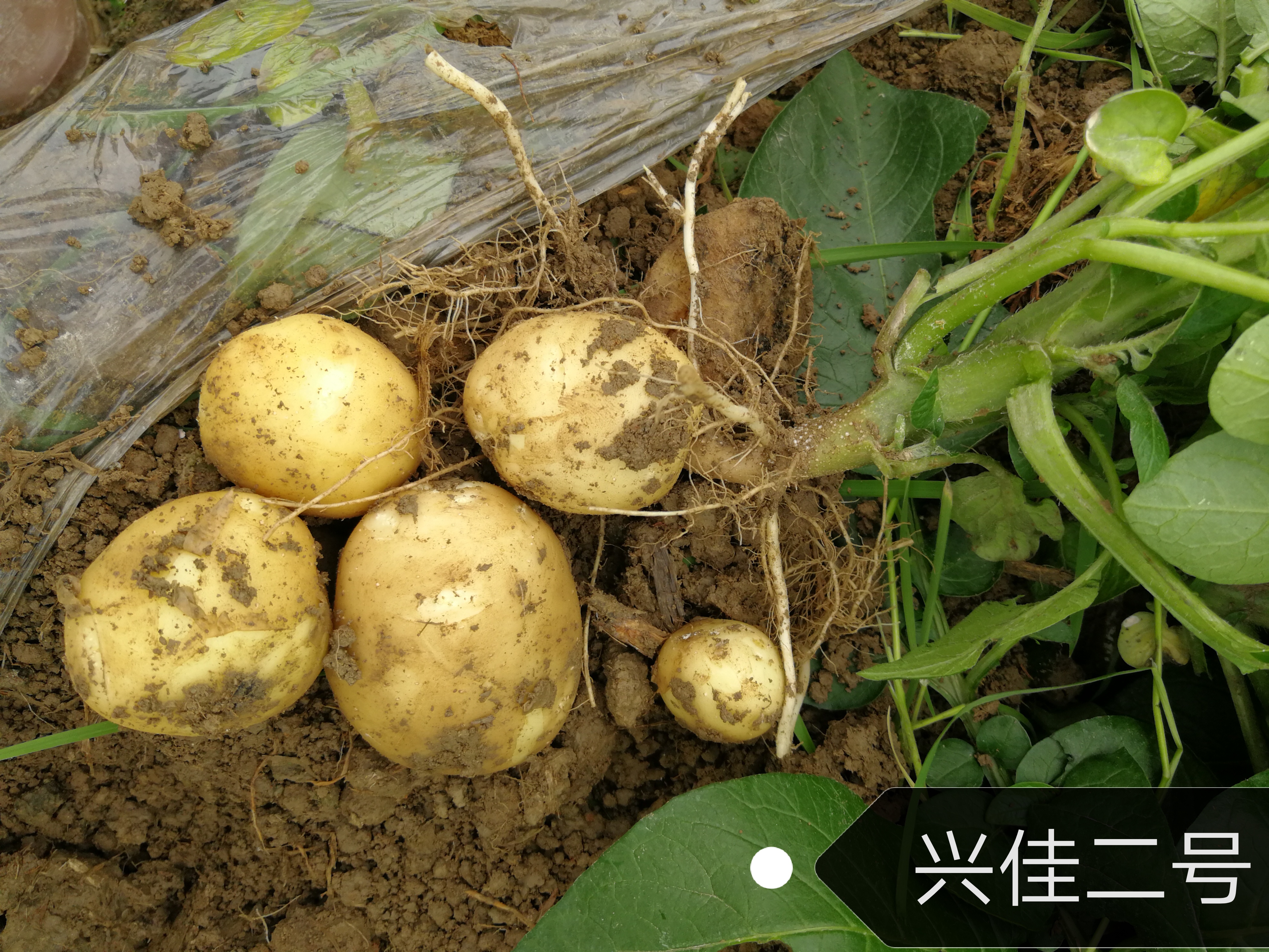 微信图片_20220408081016.jpg