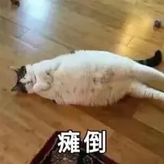 微信图片_20220413114147.jpg