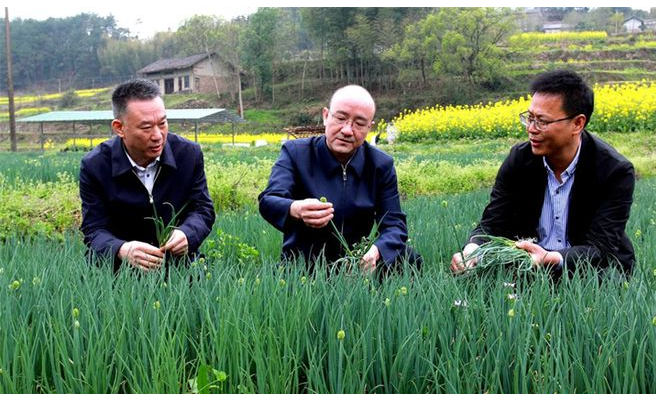 微信图片_20220414092104.png
