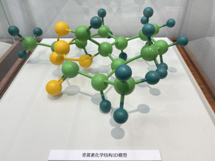 屠呦呦研究员工作室展示的青蒿素化学结构3D模型