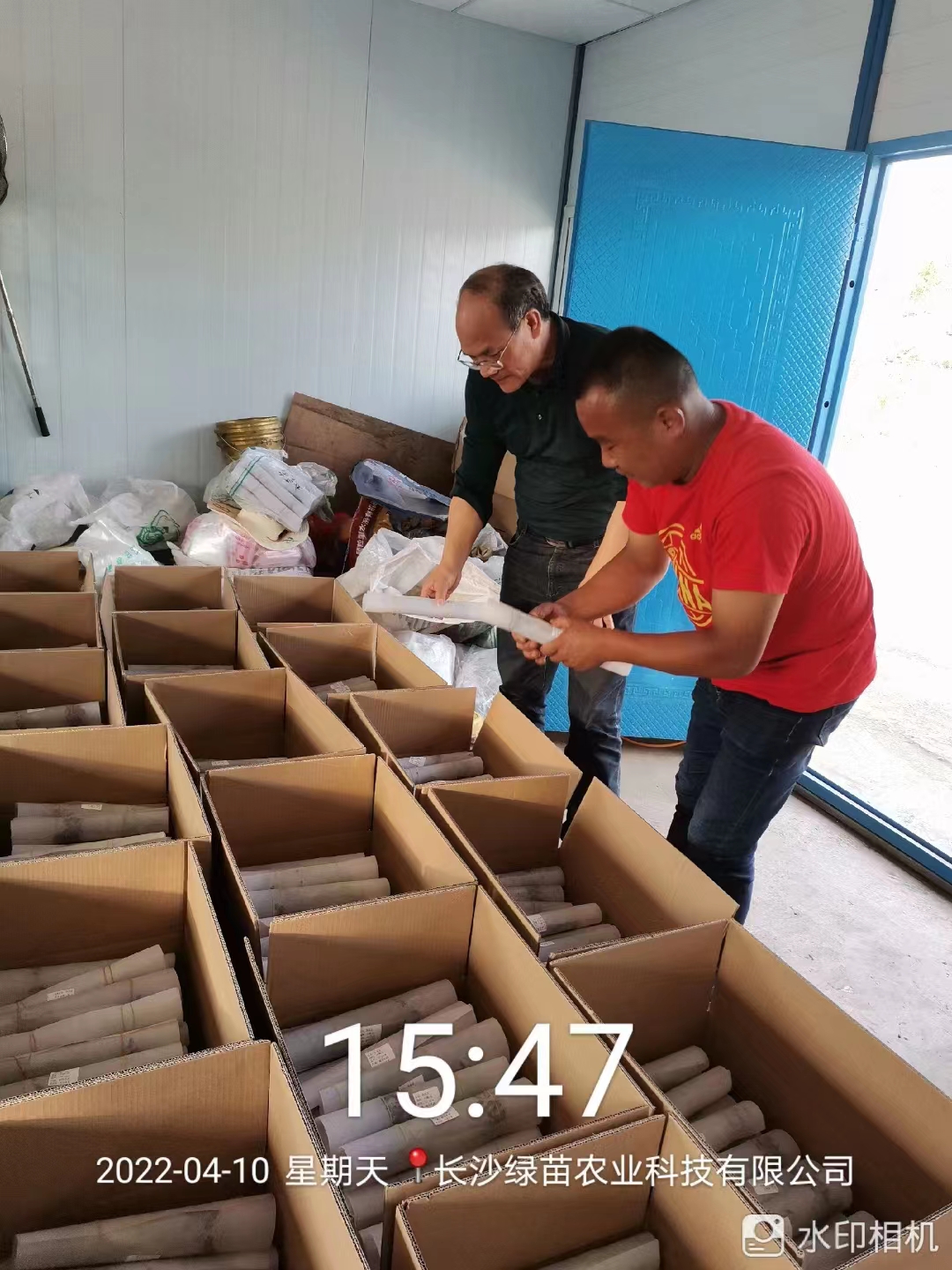 水培菜苗已打包完毕准备发货.jpg