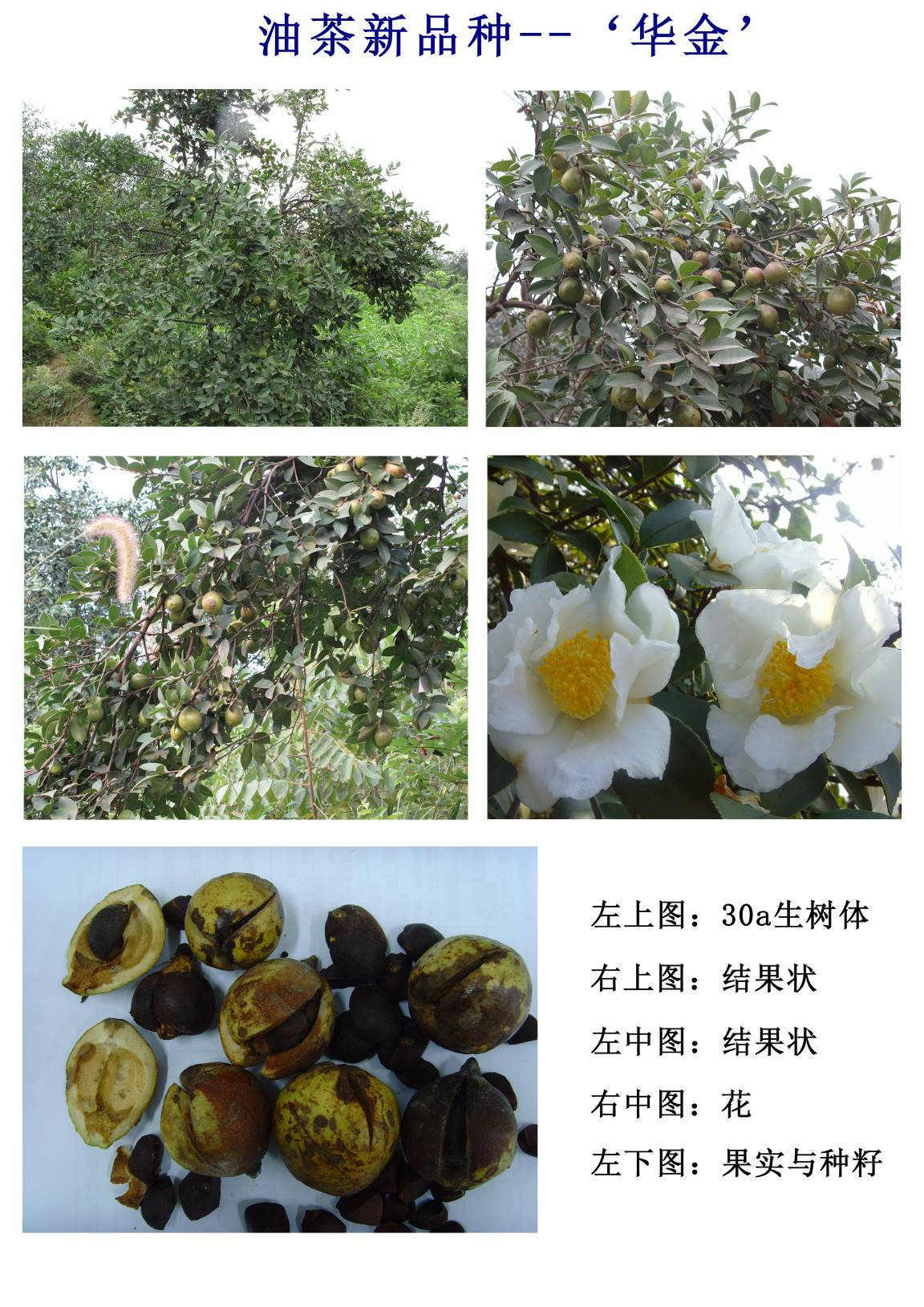 微信图片_20220427084510.png