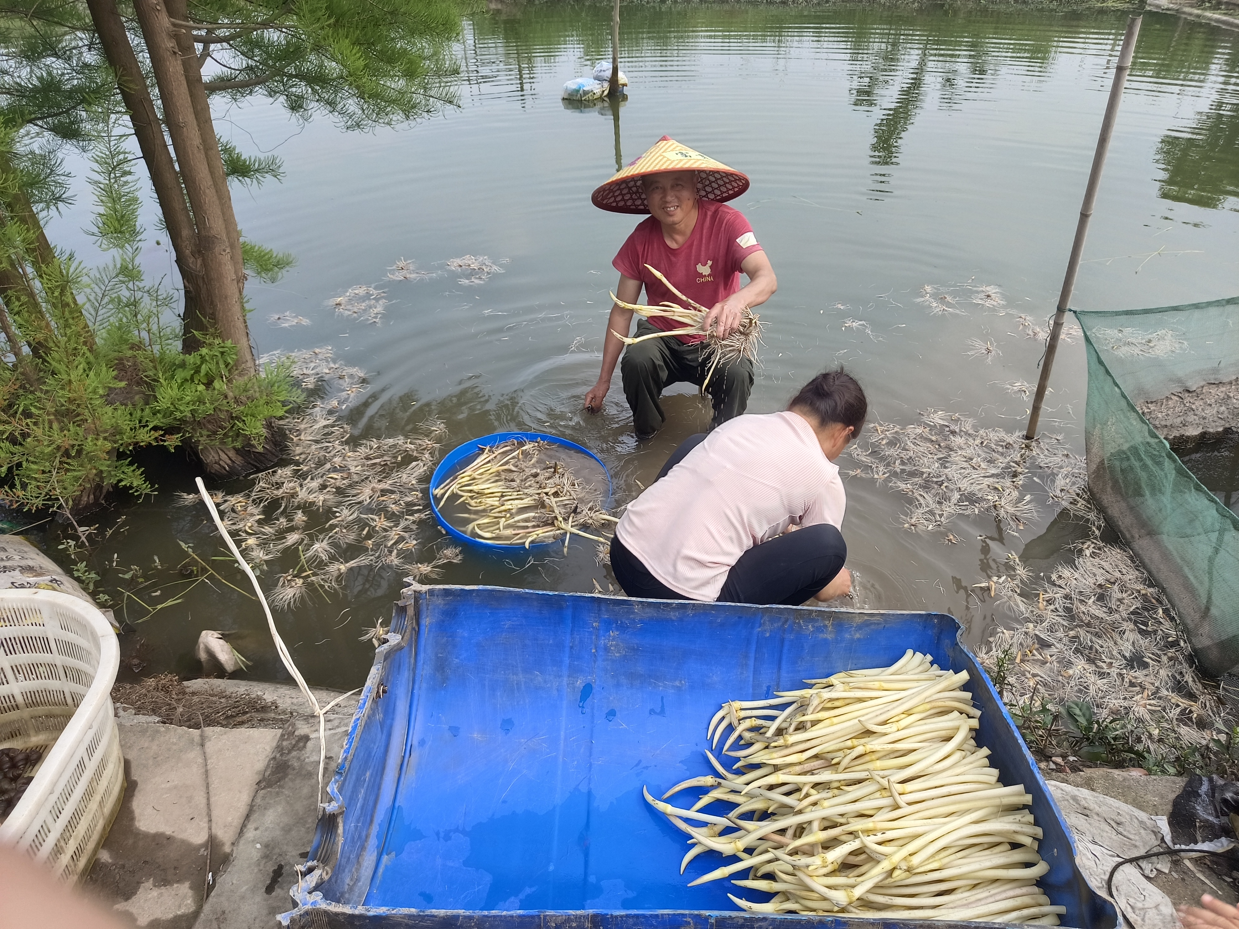 微信图片_20220524104011.jpg