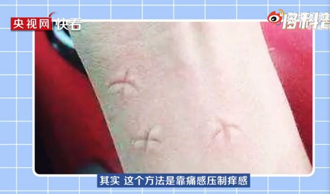 下载 (1).jpg