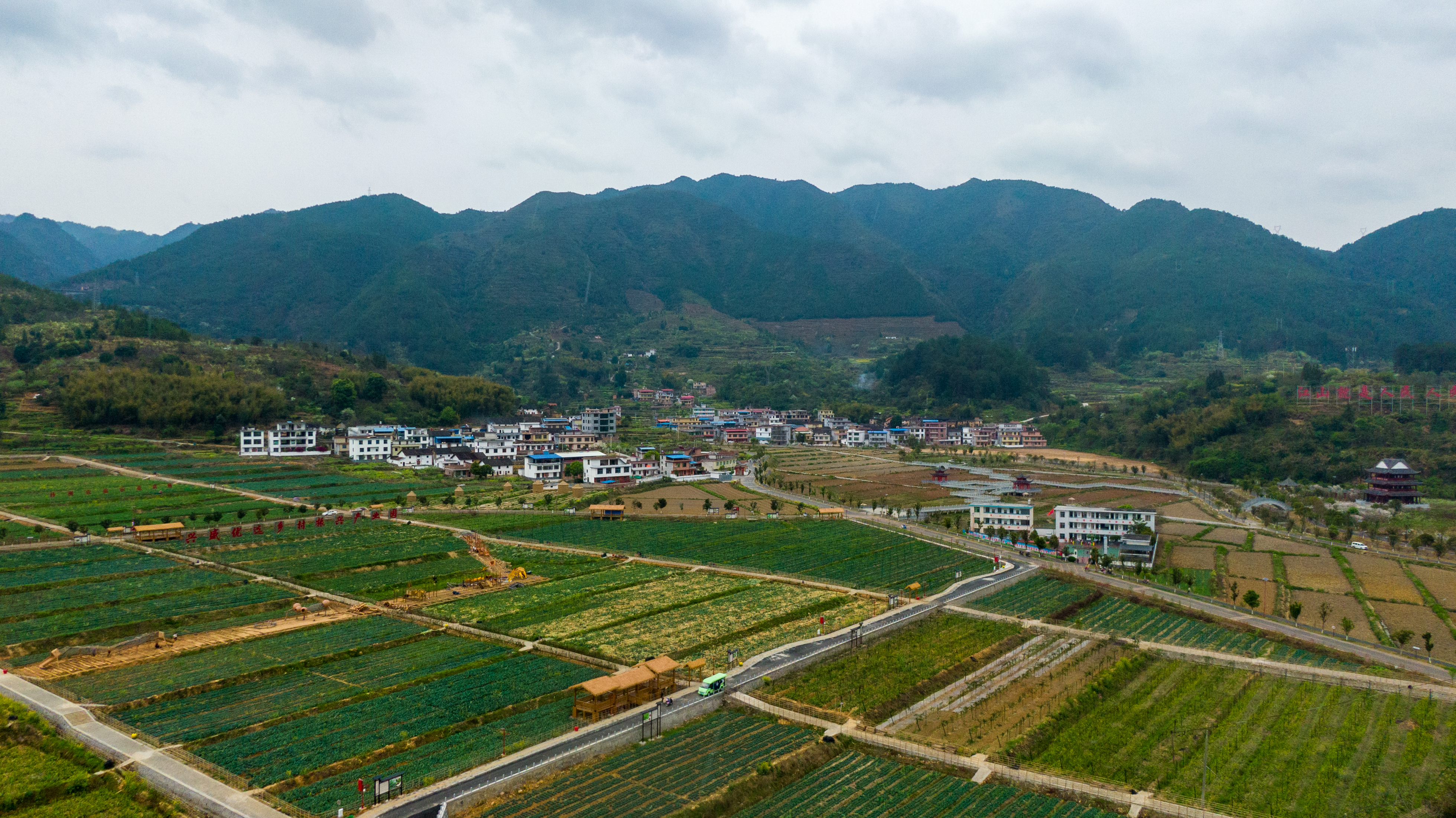 沙洲现代农旅示范基地。.png