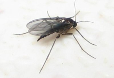 t011aaeaa58cd3d9e54.jpg