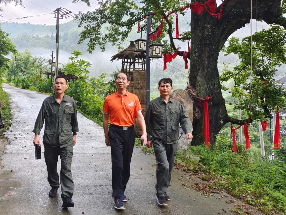 省林业局党组成员、南山国家公园王明旭局长（中）实地调研朱鹮放归生境.png