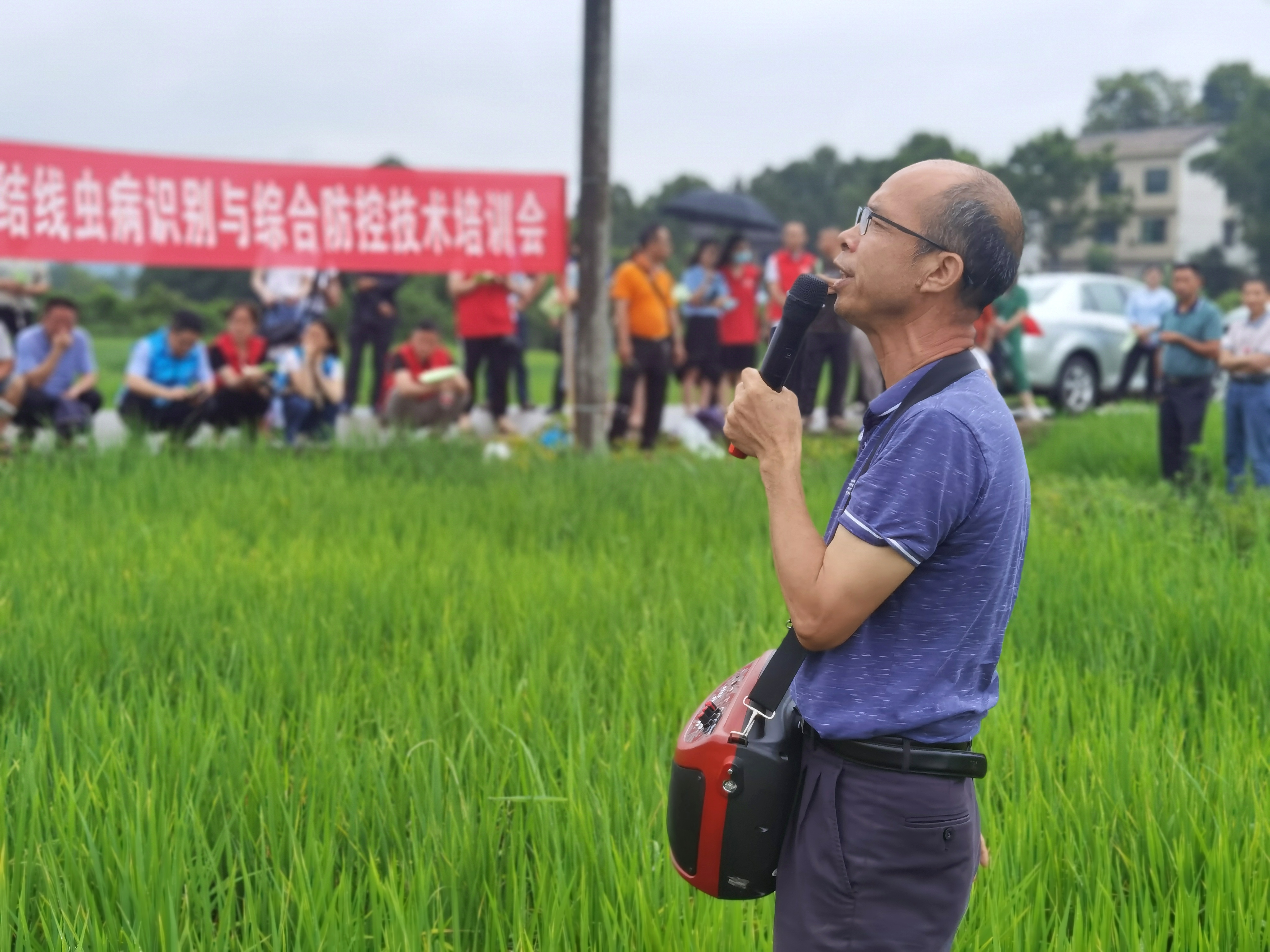 高级农艺师胡冬炎在田间讲解.jpg