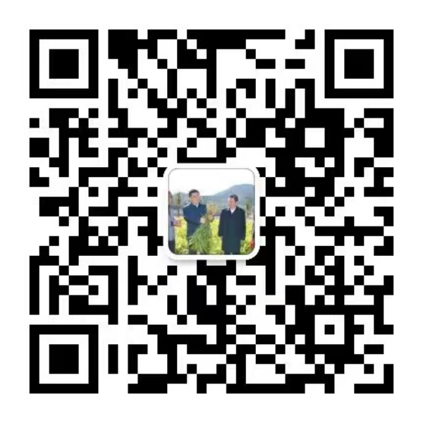 扫码下单(1).png