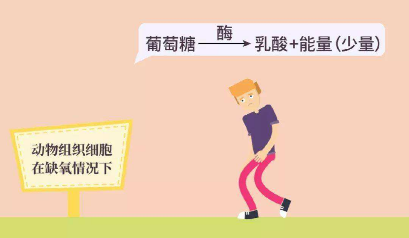 睡眠呼吸暂停与糖尿病332.png