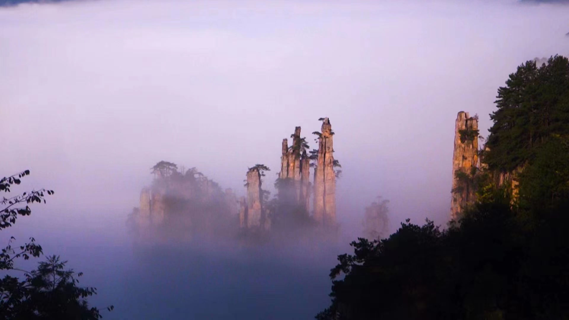 周建鑫.jpg
