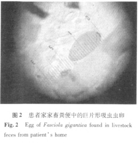 b917e0_.jpg