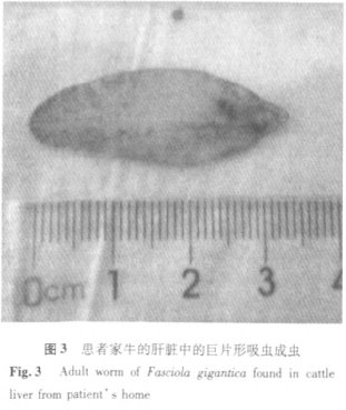 b94c56_.jpg