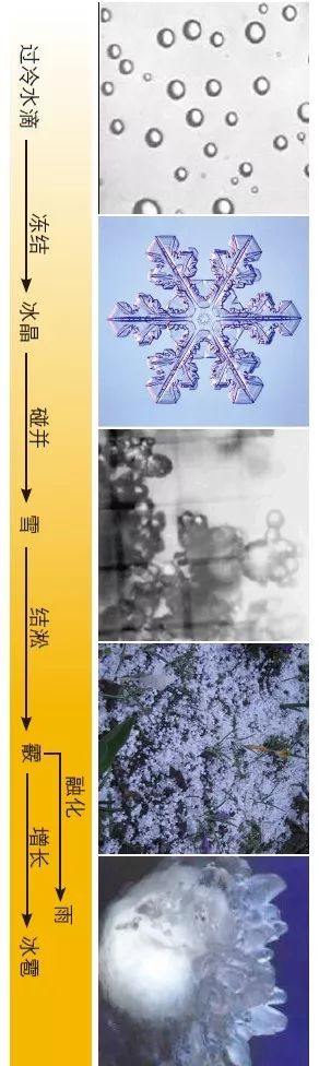 微信图片_20220823171934.jpg