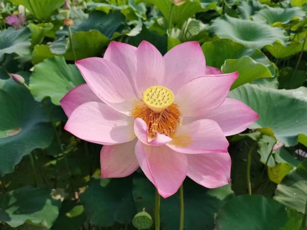 微信图片_20220816163002(1).jpg