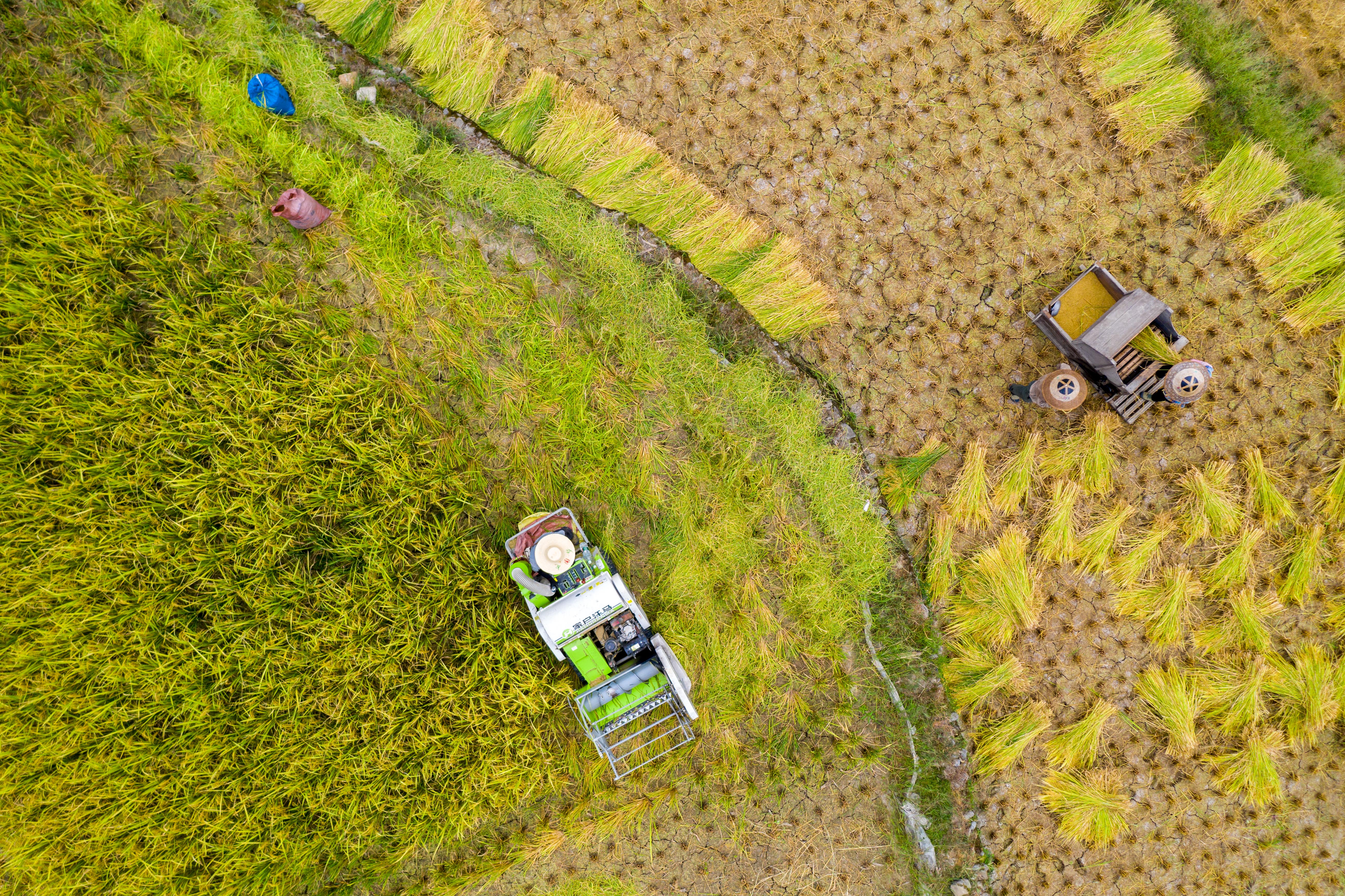 DJI_0600.jpg