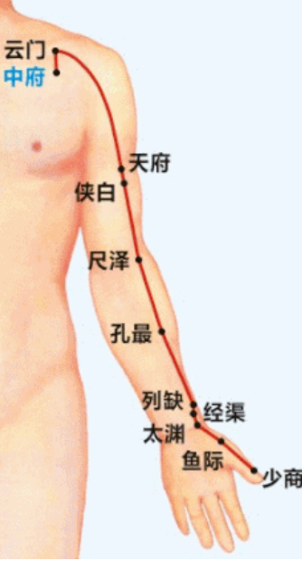 秋季养肺“三字诀”.jpg
