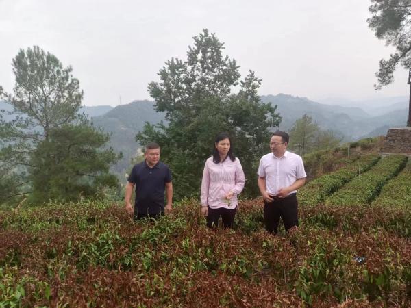 微信图片_202209192041181(1).jpg