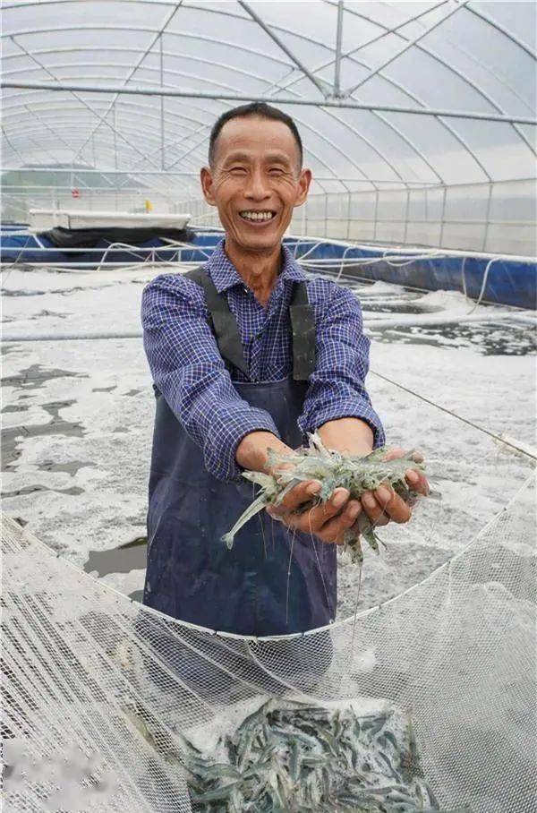 捧虾.jpeg