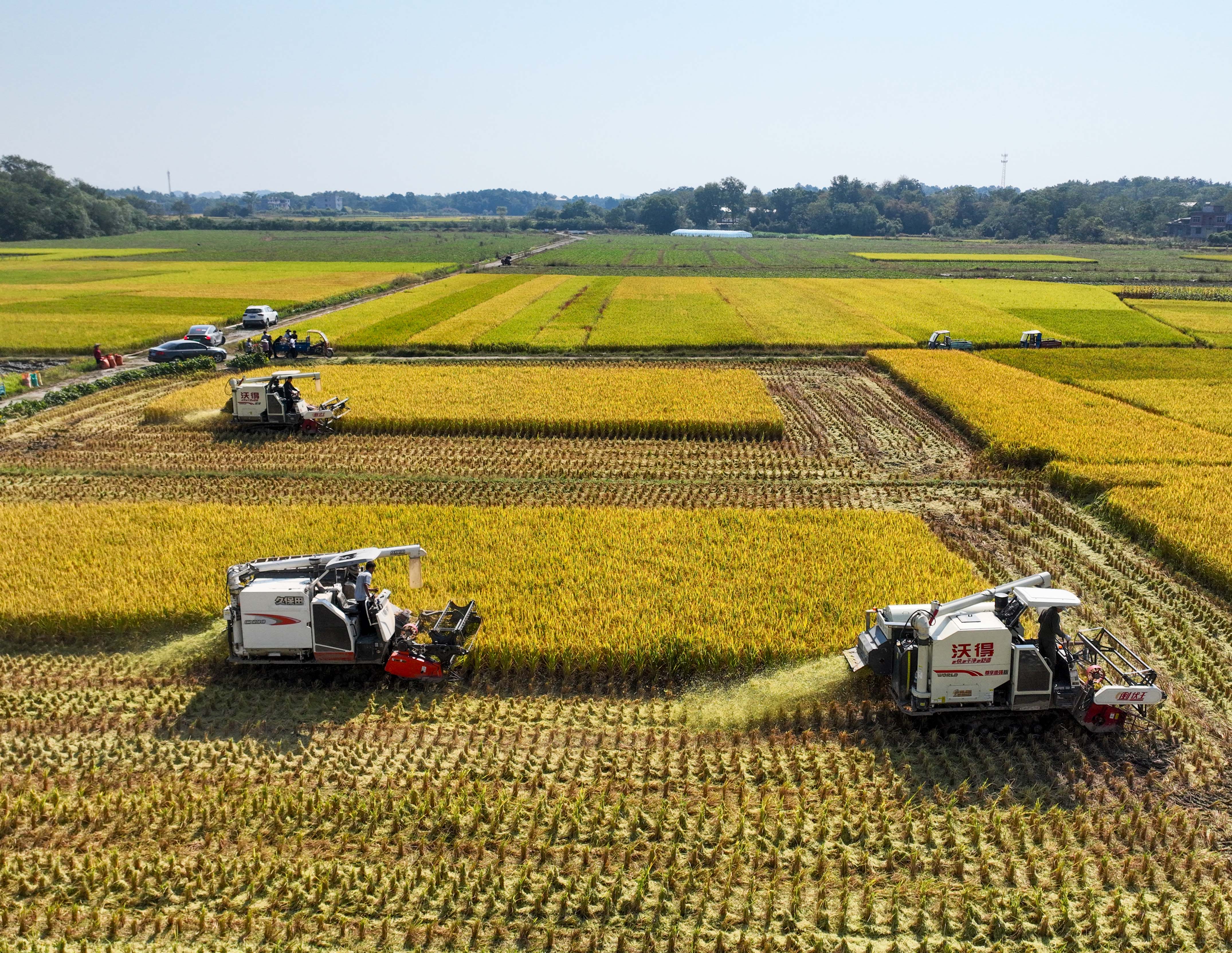 DJI_0034副本.jpg