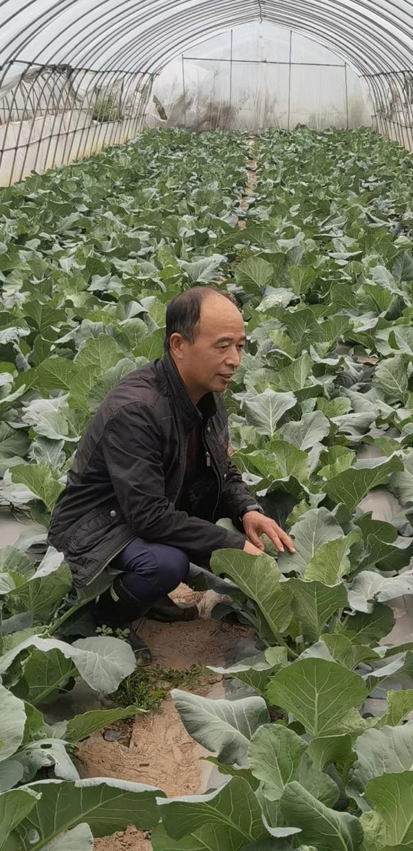 微信图片_20221026204132(1).jpg