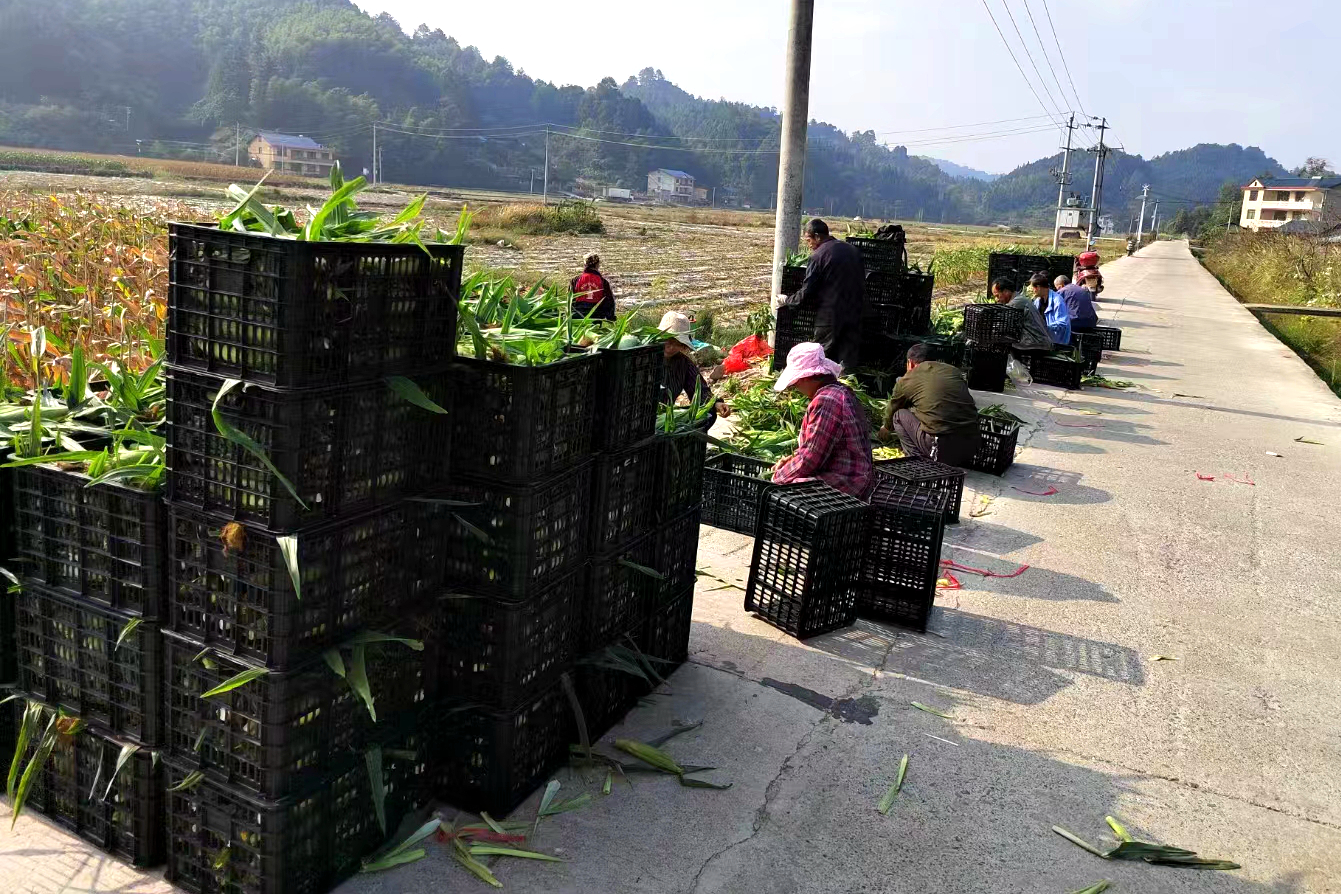 现场图片 (1).jpg