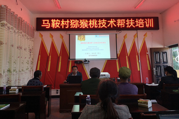 朱向荣在马鞍村为村民介绍猕猴桃采收和贮藏(1).png
