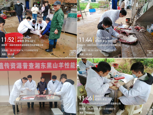微信图片_20221128173935.png