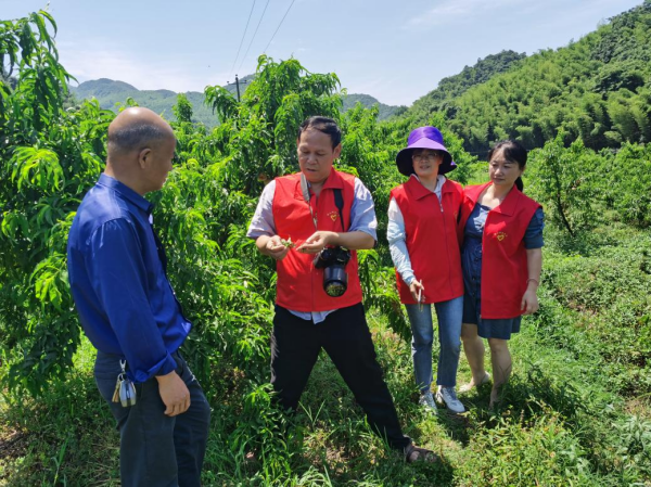 王迪轩（左二）在田间指导病虫害防治。(1).png