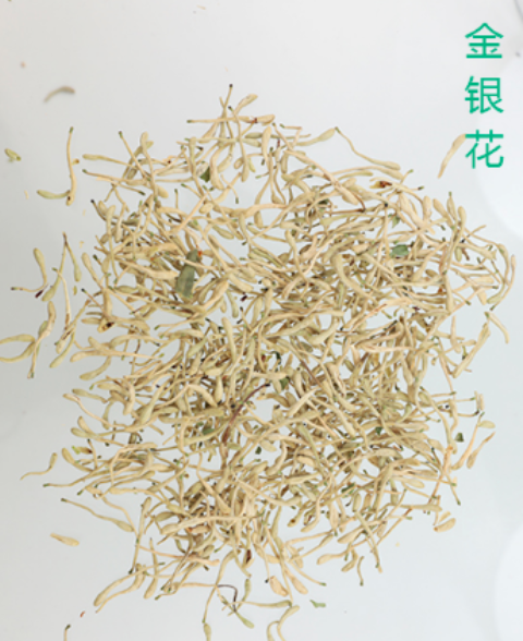 微信图片_20221214160357.png