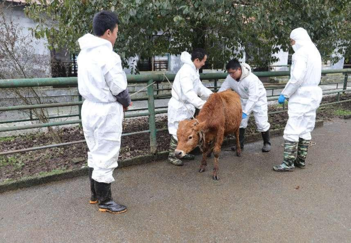 微信图片_20221226203414.png