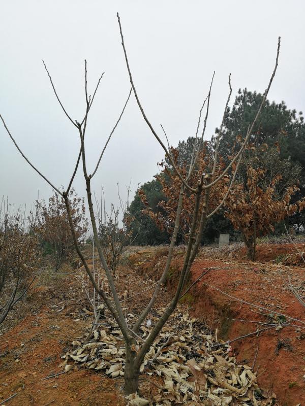 微信图片_202212160931355(1).jpg