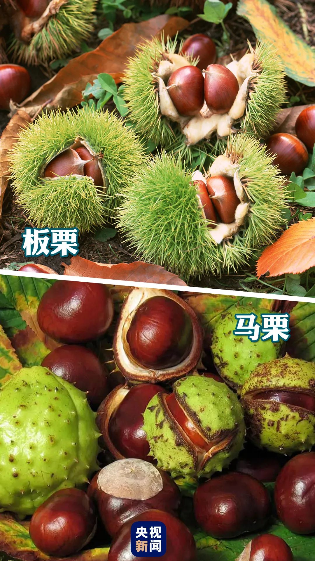 微信图片_20230119163658.jpg