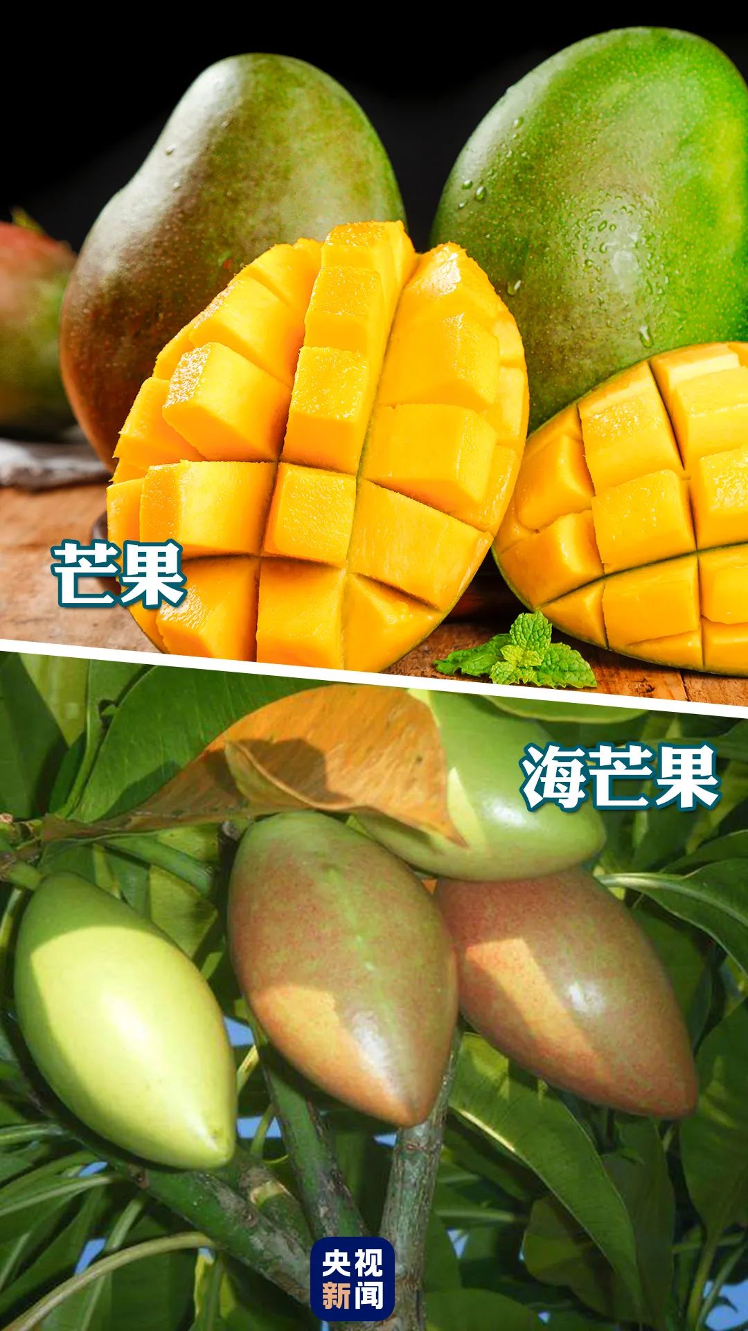 微信图片_20230119163705.jpg