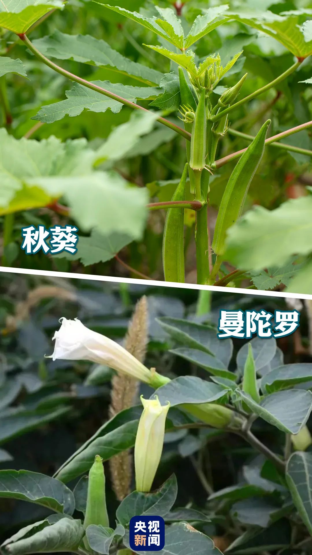 微信图片_20230119163709.jpg