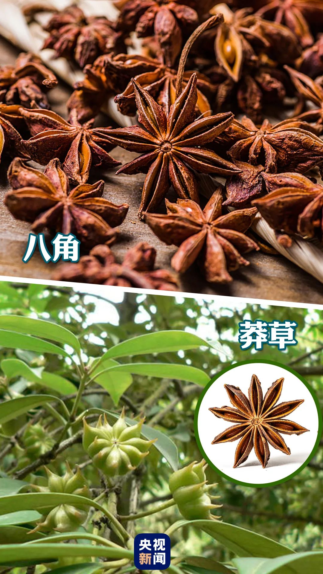 微信图片_20230119163715.jpg