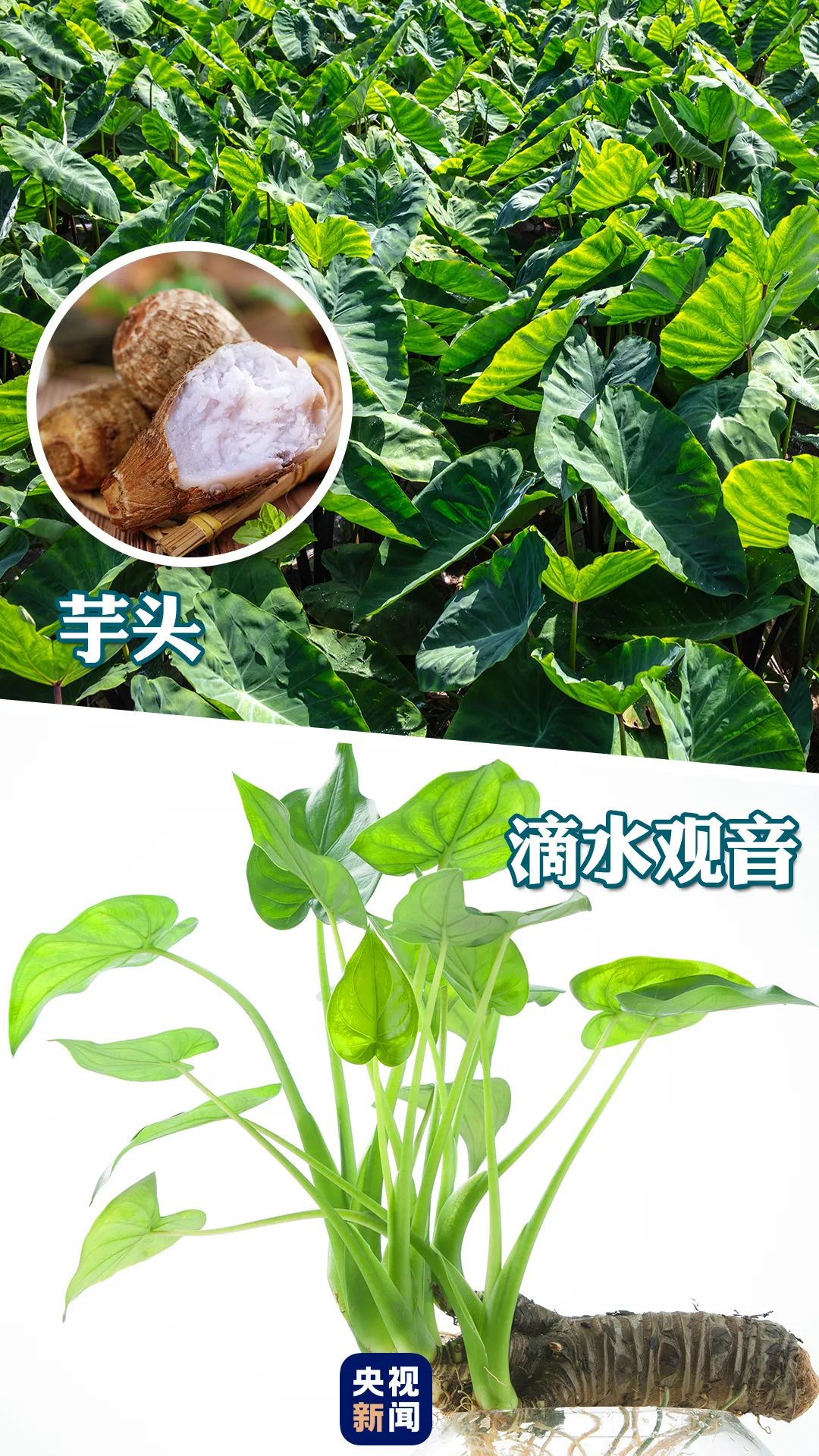微信图片_20230119163712.jpg