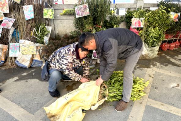 微信图片_20230131083858.png