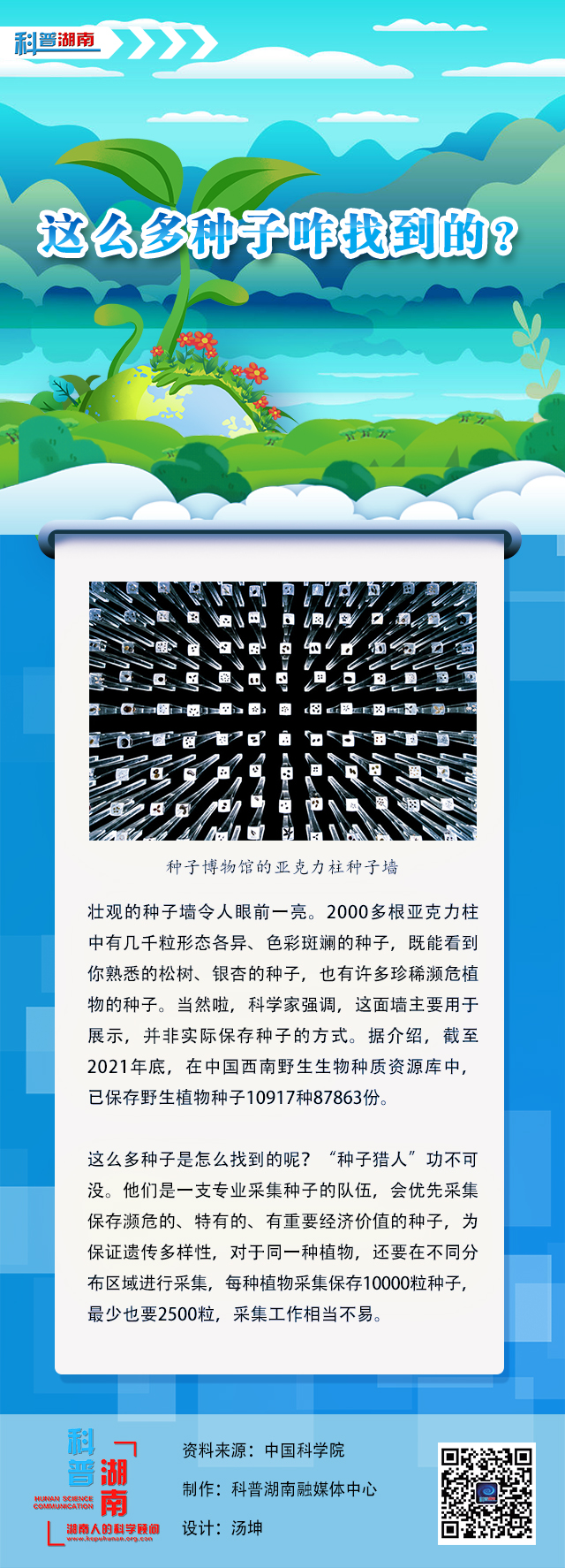 1这么多种子咋找到的？.jpg