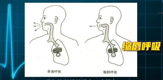 48ffe635f6174f6397f0c4ad7ba05960.png