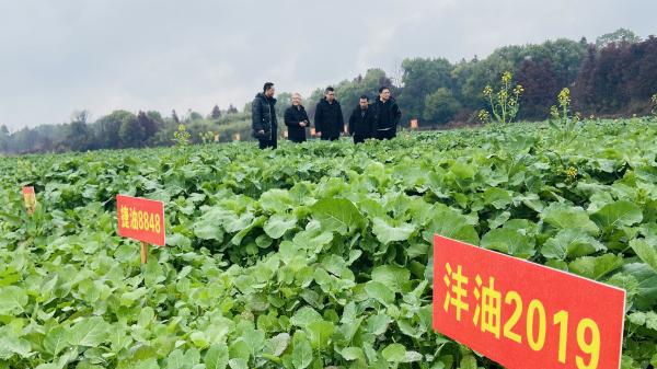 微信图片_20230208152146(1).jpg