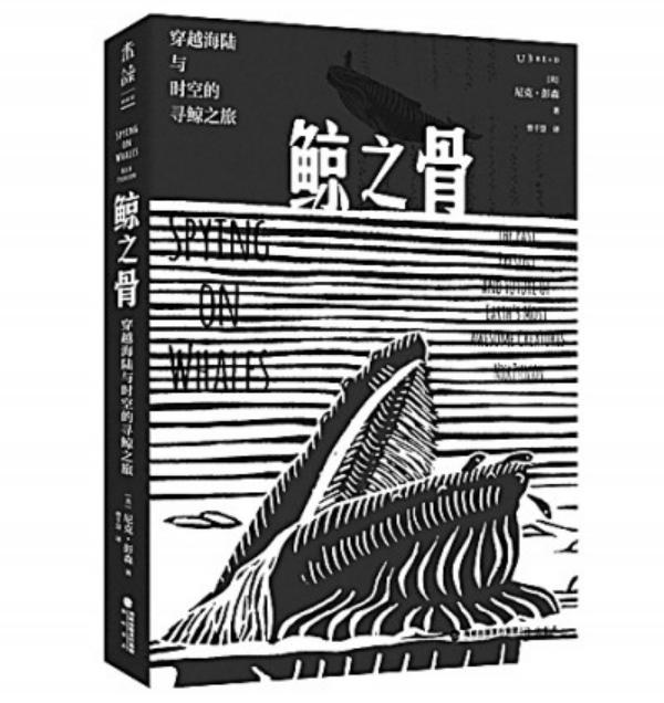 《鲸之骨》(1).jpg