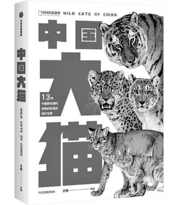 《中国大猫》(1).jpg