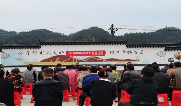 图片1(1).png